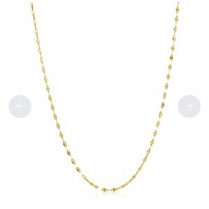 14k Gold Diamond Cut Chain